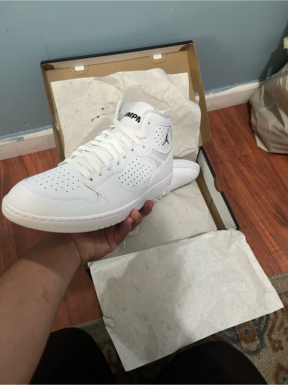 Air Jordan Access - Picture 3 of 9